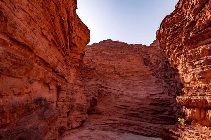 Salta to Cafayate: Full-Day Tour through Quebrada de las Conchas & Wine Tasting photo 3