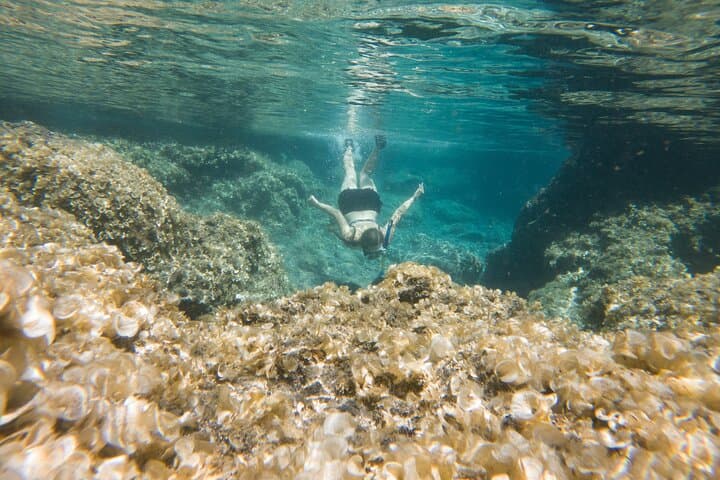 Secret Tide Pool Hike Near Hilo — Private Jungle & Coast Experience photo 6
