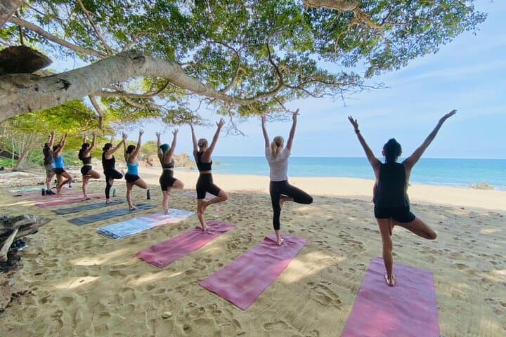 Private Group Beach Yoga in Sayulita: Customized Class with Certified Instructor photo 6
