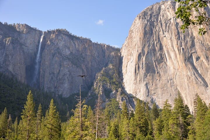 2-Day Private Tour to Yosemite National Park — Mariposa Grove, Vernal Fall & Tunnel View photo 6