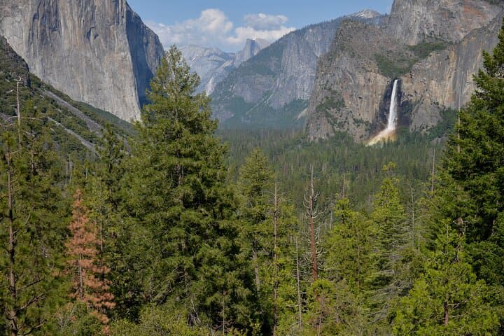 2-Day Private Tour to Yosemite National Park — Mariposa Grove, Vernal Fall & Tunnel View