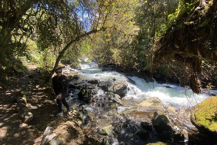 Papallacta Thermal Baths Day Trip from Quito — Hot Springs, Andean Trails & Wildlife photo 4