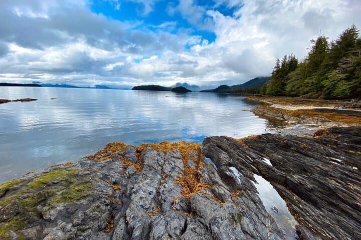 Ketchikan Rainforest & Beach Wildlife Walk: Lunch Creek Falls to Coastal Cove photo 1