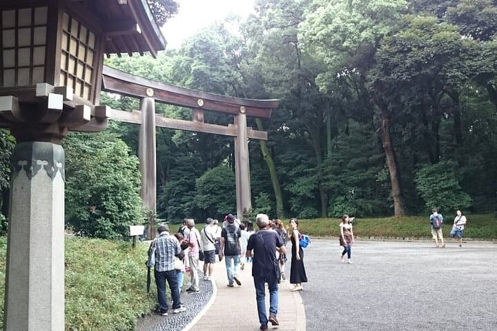 Meiji Shrine Cultural Walk: Tokyo Shinto Rituals & Sacred Forest photo 3