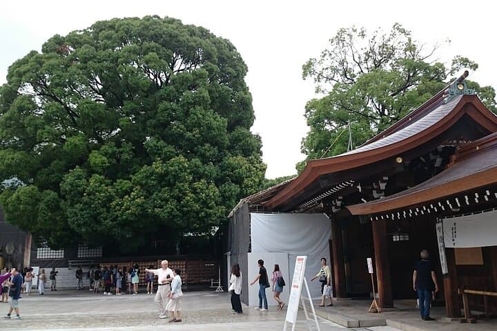Meiji Shrine Cultural Walk: Tokyo Shinto Rituals & Sacred Forest photo 2