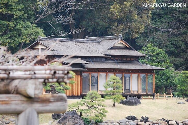 Customizable 5-Hour Tokyo Highlights Tour — Build Your Ideal Half-Day Itinerary