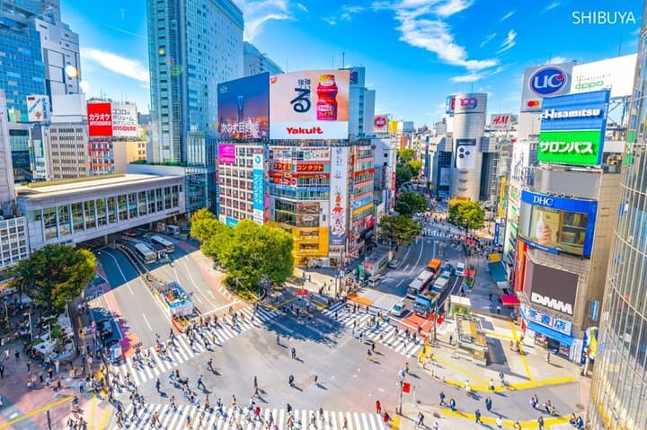 Customizable 5-Hour Tokyo Highlights Tour — Build Your Ideal Half-Day Itinerary photo 4