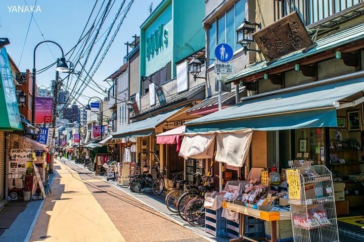 Customizable 5-Hour Tokyo Highlights Tour — Build Your Ideal Half-Day Itinerary photo 5