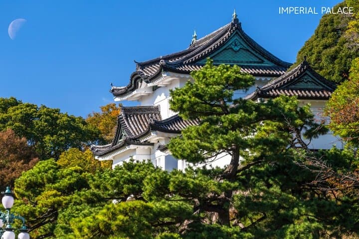Custom Tokyo Half-Day Tour — 3-Hour Private Guided Itinerary