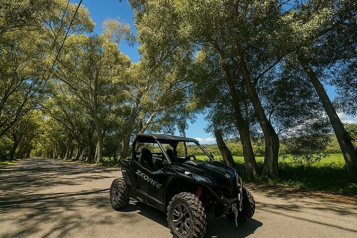 Georgioupolis Buggy Safari: Off‑Road Apokoronas Olive-Grove Adventure