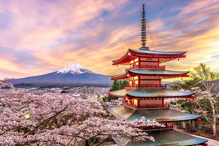 Mt Fuji Flower Viewing & Kawaguchiko Day Tour with Kusa Mochi photo 3