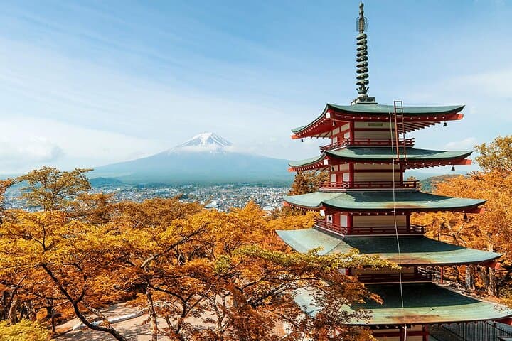 Mt Fuji Flower Viewing & Kawaguchiko Day Tour with Kusa Mochi photo 6