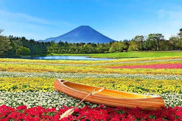 Mt Fuji Flower Viewing & Kawaguchiko Day Tour with Kusa Mochi photo 4