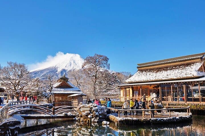 Mt Fuji Flower Viewing & Kawaguchiko Day Tour with Kusa Mochi photo 5