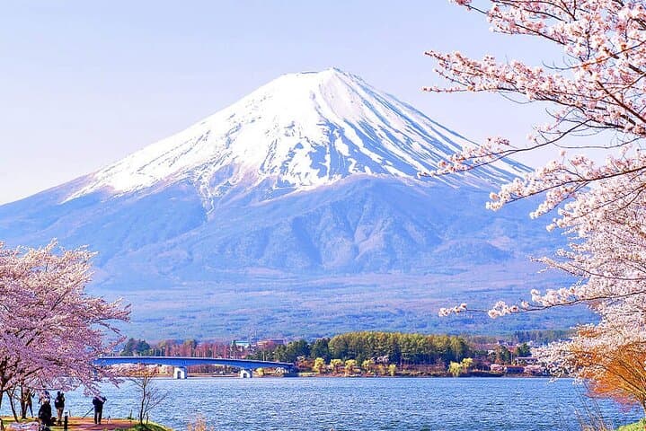 Mt Fuji Flower Viewing & Kawaguchiko Day Tour with Kusa Mochi photo 2
