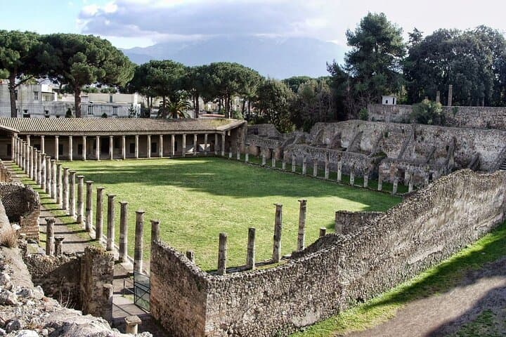 Pompeii and Winery Day Tour from Naples — Ruins, Tasting & Private Transport photo 4