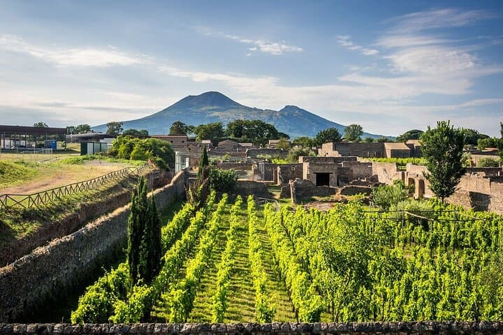 Pompeii and Winery Day Tour from Naples — Ruins, Tasting & Private Transport photo 5