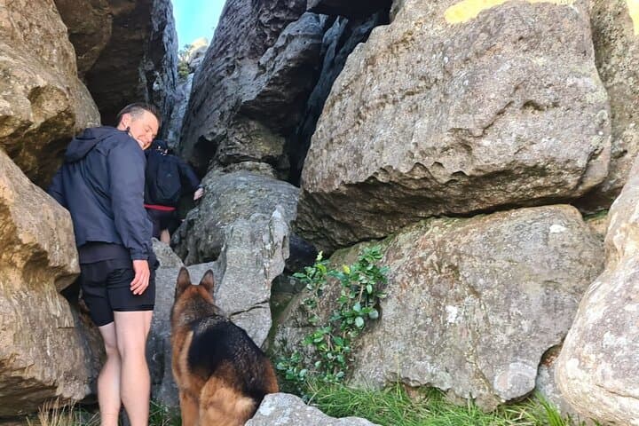 Table Mountain Guided Hike: Summit Tour with Pro Guide in Cape Town photo 3