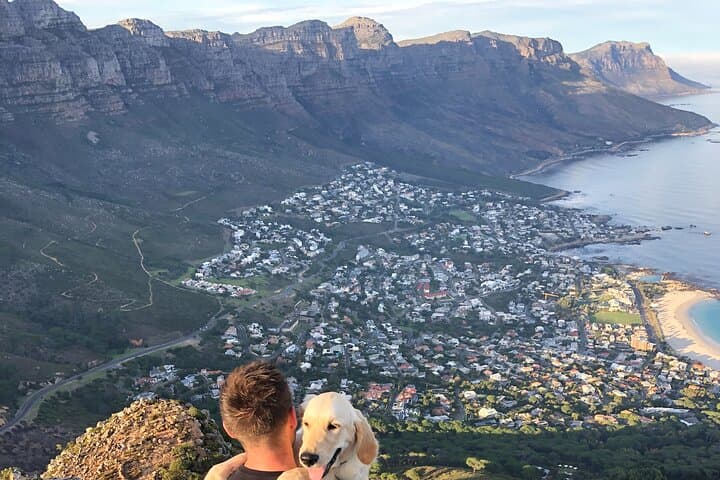 Table Mountain Guided Hike: Summit Tour with Pro Guide in Cape Town photo 5