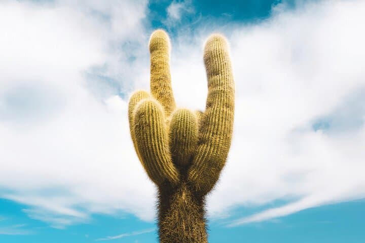 Flavors of Altura: Two-Day Cachi and Hornocal Tour from Salta