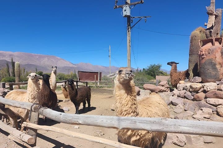 Humahuaca Quebrada Full Day: Seven Colors Hill, Tilcara Pucará & Hornocal photo 5