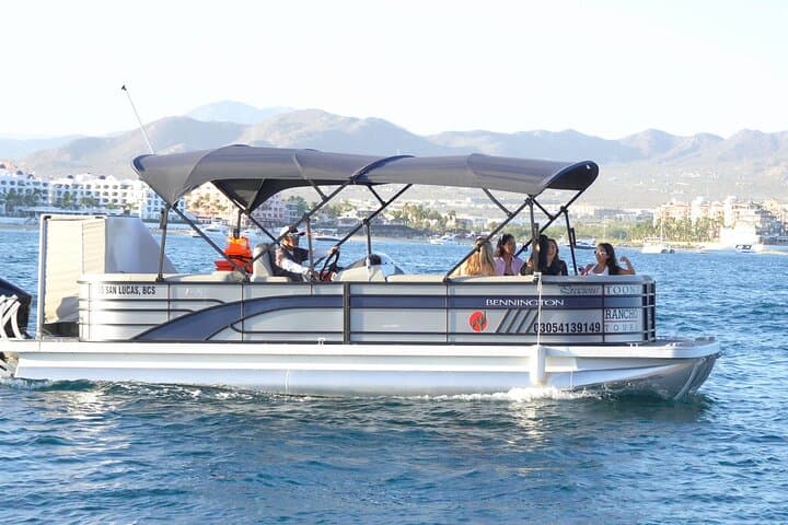 Luxury Boat to El Arco — Cabo San Lucas Arch Sightseeing Cruise photo 5