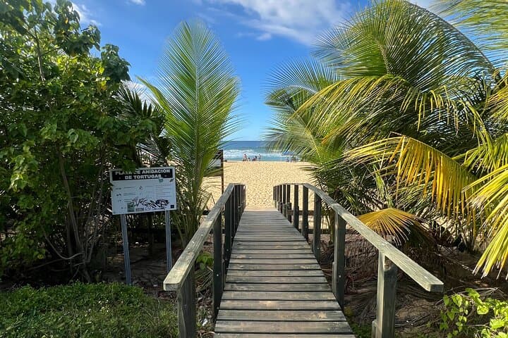 Explore Cueva del Indio and Arecibo: Coastal Caves, Lighthouse Views & Puerto Rican Flavors photo 3