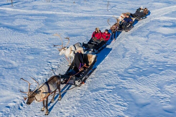 Rovaniemi Reindeer Safari: 2.5 km Sled Ride at a 200-Year-Old Farm photo 2