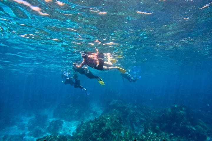 Private Roatan Snorkel Experience on the Mesoamerican Reef photo 3
