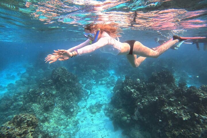Private Roatan Snorkel Experience on the Mesoamerican Reef photo 4