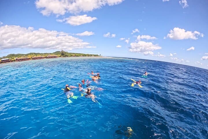 Private Roatan Snorkel Experience on the Mesoamerican Reef photo 5