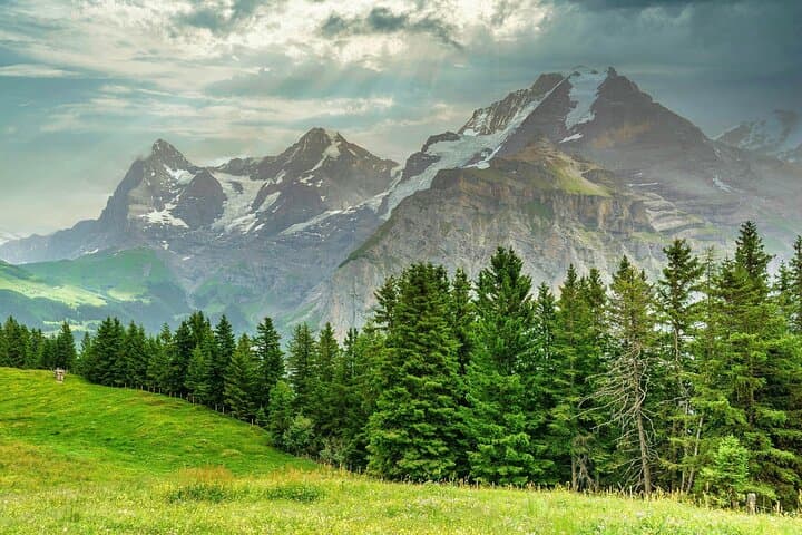 Murren Private Guided Walking Tour: Alpine Village Stroll with Eiger Views photo 5