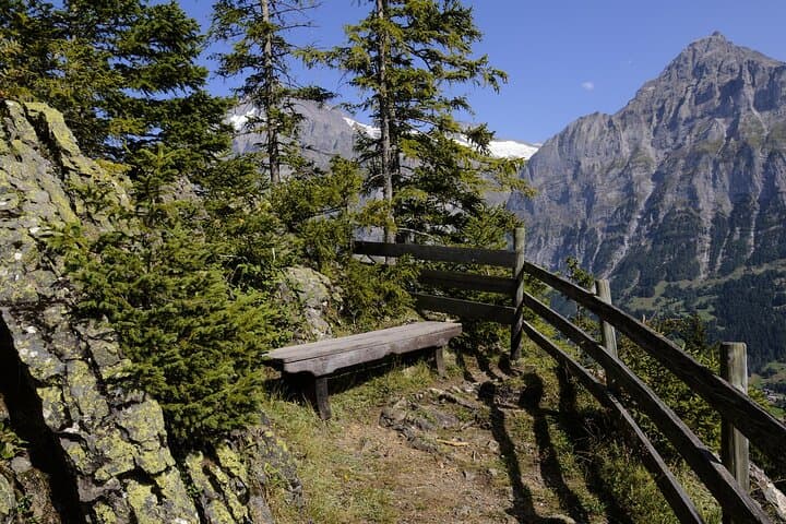 Grindelwald Private Walking Tour: 90-Minute Alpine Village Stroll photo 2
