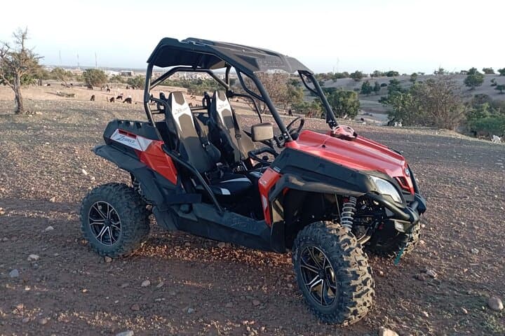 Agadir Buggy Adventure: Agafay Desert Rides, Berber Tea & Argan Forest Encounters