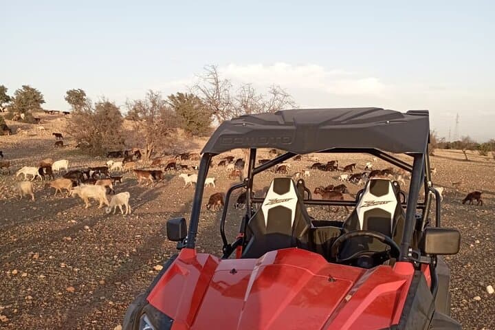 Agafay/Agadir Buggy Adventure: ATV Ride, Tree‑Climbing Goats & Nomad Mint Tea photo 3