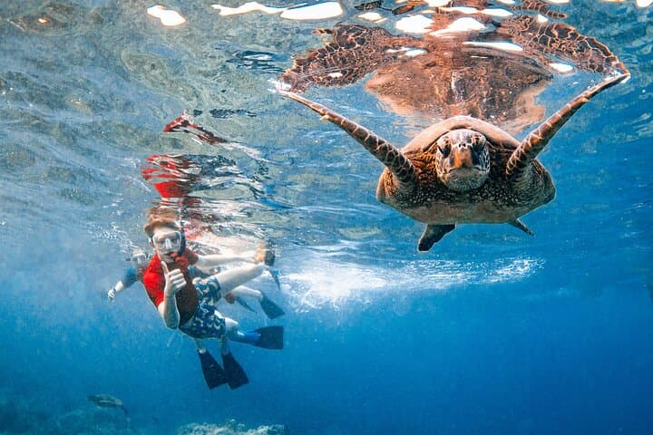 Morning Molokini Crater and Turtle Town Snorkel from Kihei photo 3