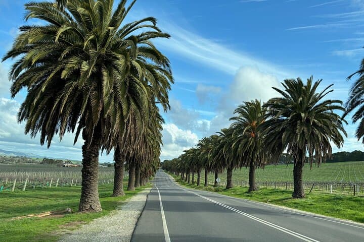 Private Half-Day Barossa Valley Luxury Wine Tour from Adelaide photo 6