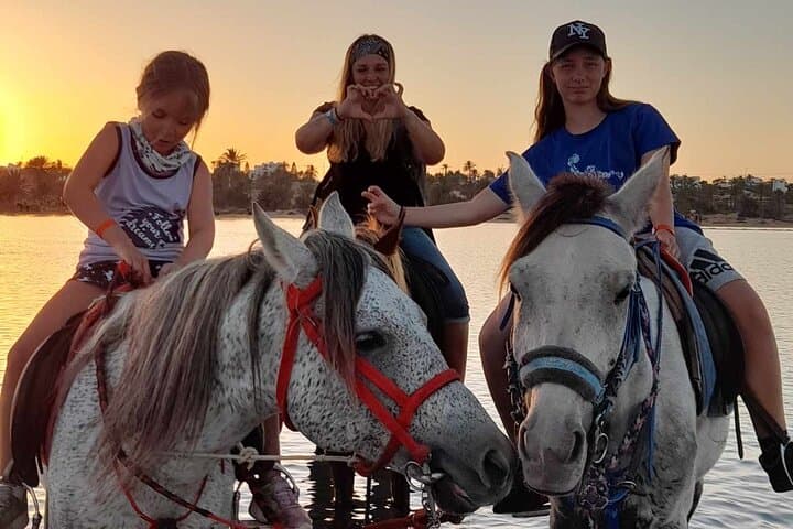 Sunset Horseback Ride Across the Djerba Lagoon — Horse Riding in Djerba, Tunisia photo 1