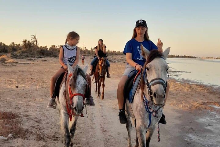 Sunset Horseback Ride Across the Djerba Lagoon — Horse Riding in Djerba, Tunisia photo 2