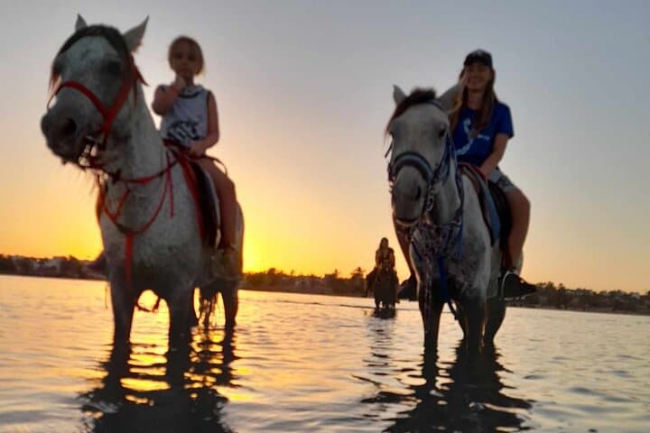Sunset Horseback Ride Across the Djerba Lagoon — Horse Riding in Djerba, Tunisia photo 3