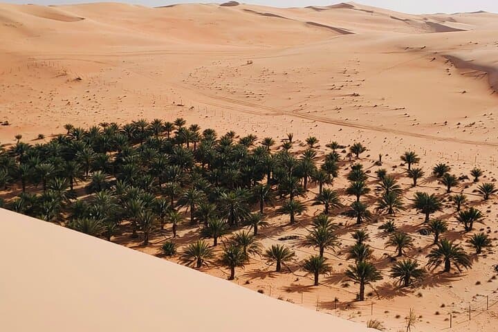 Liwa Full-Day Desert Safari from Abu Dhabi: 4x4 Dune Drive, Sandboarding & Sunset photo 4