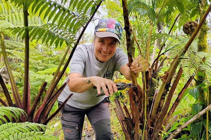 Hands-On Hapuu Fern Cultivation and Citrus Tea in Hawaii's Rainforest photo 2