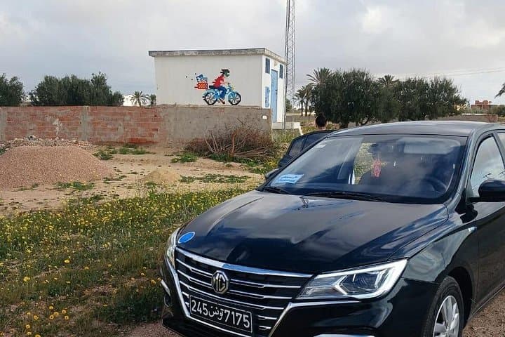 Djerba Space Invader Mosaic Hunt: Two-Day Art & Cultural Tour from Djerba to Zarzis