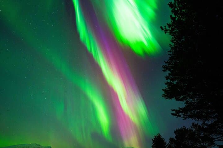 Chase the Northern Lights in Tromsø: Small-Group Aurora Tour (6 hrs) photo 5