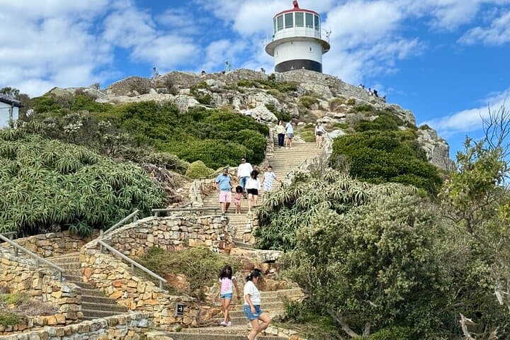Cape Peninsula Full-Day: Cape of Good Hope, Penguins & Chapman's Peak Scenic Drive