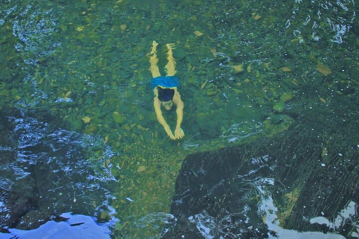 Villalba River Swim and Tropical Flora Identification — 2‑Hour Forest Experience photo 6