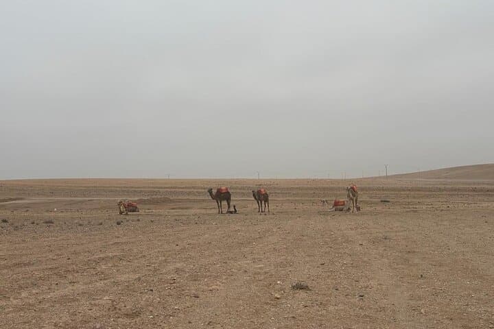 Agafay Desert Quad Biking and Camel Ride: Sunset Views Near Marrakech photo 5