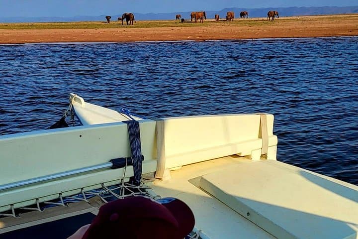2-Night Safari Sail on Lake Kariba: Close Encounters with Elephants & Hippos photo 3