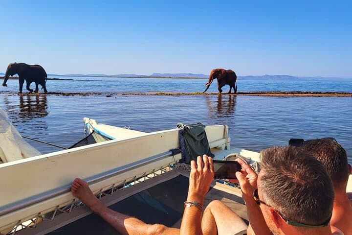2-Night Safari Sail on Lake Kariba: Close Encounters with Elephants & Hippos