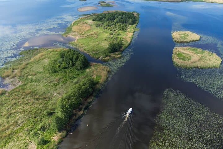 Bird-Watching Boat Tour in Nemunas Delta — Curonian Lagoon Wildlife Cruise